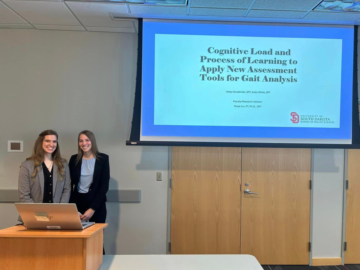 Cognitive Load and Process of Learning to Apply a New Assessment Device for Gait&nbsp;Analysis